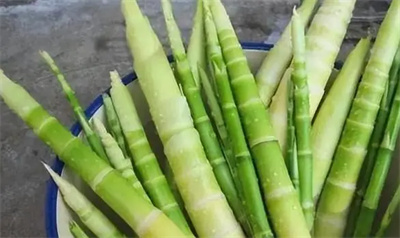 图片细节